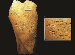 Scientists have found the oldest known example of an animal drawing: Europe S Earliest Bone Tools Found In Britain Bbc News