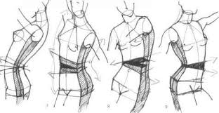This is a drawing of a male upper torso with some of the surface anatomy of the back and arm rendered. The Upper Body Figure Drawing Martel Fashion Figure Drawing Body Sketches Drawings
