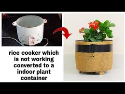 Rice cookers are all different, mine has an option for mixed this is what i chose and then hit the start cooking button. Rice Cooker Upcycling Upcycledcrafts Flower Pot Out Of Waste Pot Painting Pot Designing Youtube
