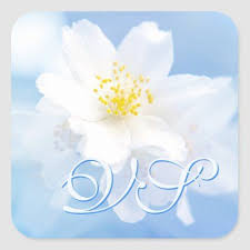 White Jasmine Flowers Add Your Initials Square Sticker Zazzle Com White Jasmine White Flowers Flowers