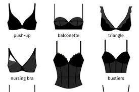 Bra Vector In 2022 Curvy Girl Fashion Women Aesthetic Outfits