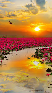 Pin On Nature