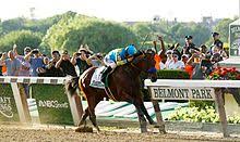 2015 Belmont Stakes Wikipedia