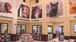 Discount vaccine packages (including rabies vaccine) are available for cats and dogs at palm beach county animal control. Peggy Adams Animal Rescue League Unveils New Pet Adoption Center