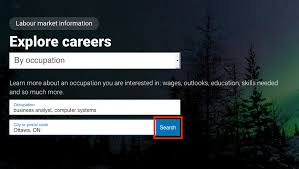 Business Analysts Canada Business Analyst Learnings