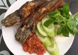 Dalam dunia pemancingan, ikan lele memang menjadi salah satu target paling favorit. Gambar Ikan Lele Yang Gampang Cara Budidaya Ikan Lele Kolam Terpal Mudah Dan Praktis Jevt Online