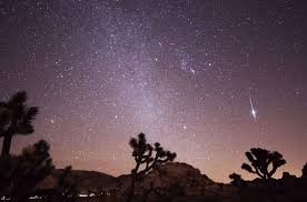 What To See In The Night Sky In November Meteor Shower Meteor Shower Calendar Meteor Shower Dates