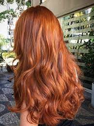 Cabelo Ruivo Ginger Hair Color Natural Red Hair Copper Red Hair