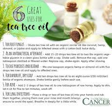 Top 10 Terrific Uses For Tea Tree Essential Oil Tea Tree Essential Oil Essential Oil Uses Tea Tree Oil Uses
