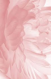 Maybe you would like to learn more about one of these? Wow Vliestapete Basic 10 M Lange Online Kaufen Otto Wallpaper Iphone Summer Pink Wallpaper Iphone Wallpaper Iphone Love