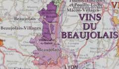 Find The Vine Wine Region Beaujolais