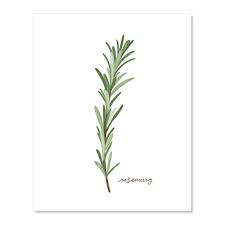 We did not find results for: Amazon Com Botanical Print Rosemary Herb Leaf Plant Art Many Sizes Handmade