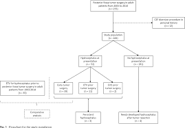 figure 1 from frequency and treatment of hydrocephalus prior