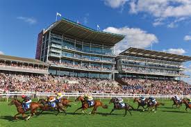 a brief guide to the racecourse stands york racecourse