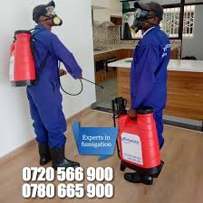 With the head office based in the uk you will get extra benefit of. Fumigation And Pest Control Services Nairobi Kenya 0720566900 Posts Facebook