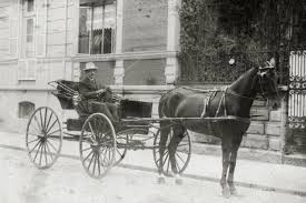Allí los profesionales pintarán sus laterales de color. 1920 Caballos De Carros Al Galope Por Miracruz Y La Plaza Easo El Diario Vasco