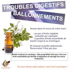 Epingle Sur Huiles Essentielles Et Vegetales
