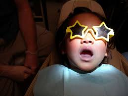 Photograph by Trish Crawford