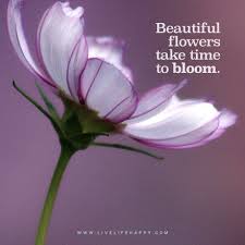 ♥ connect with sayingimages on facebook, pinterest, and twitter! Beautiful Flowers Take Time To Bloom Www Livelifehappy Com Beautiful Flowers Flower Quotes Love Flower Words