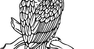 Berbeda dengan burung hantu, burung elang ini kerap kali di kaitkan dengan simbol sebuah kekuatan dan perlindungan. Link Download Bermacam Contoh Gambar Mewarna Burung Hantu Yang Terbaik Dan Boleh Di Muat Turun Dengan Segera Gambar Mewarna