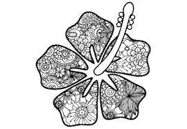 Supercoloring.com is a super fun for all ages: Tropical Spring Art Activity Hibiscus Flower Coloring Pages Asia Art Sub Plan