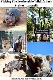 The Featherdale Wildlife Park Wildlife Park Wildlife Parks In Sydney