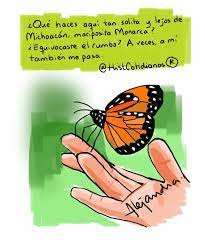 Pin En Historias Cotidianas Por Alejandra Aceves