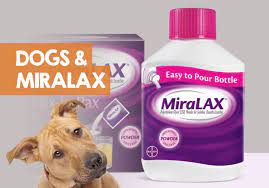 Can I Give My Dog Miralax For Constipation How Much Is Safe