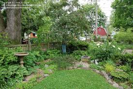 I have several of these hosta wylde green. Garden Design Help With Small Shade Garden Please 1 By Chris H