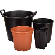 Maybe you would like to learn more about one of these? Plastic Pots Wholesale Manufacturer Of Plastic Pots For Nursery And Gardening