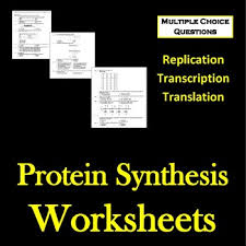 The genetic material of all living things is made of a molecule called deoxyribonucleic acid, or dna. Transcription Translation Worksheet Teachers Pay Teachers