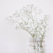 I gravitate towards black and white images, the golden hour, and expressive faces. White Aesthetic Tumblr White Aesthetic Spring Aesthetic Instagram White