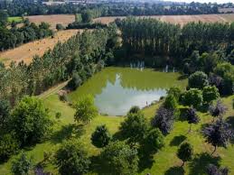 Find ratings, reviews, and where to find beers from this brewery. Ferme Du Lieu D Hommey