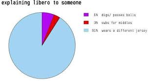 Libero Problems Volleyball Memes Volleyball Problems
