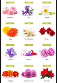 They can easily be scaled down to the dainty sizes trending on instagram over the past few years. Birth Month Flowers Birth Flower Tattoos Birth Month Flowers Birthday Flowers