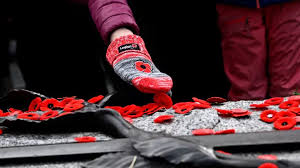 Remembrance Day poppy