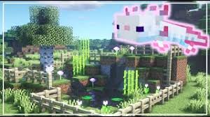 This page on axolotls in minecraft will tell you everything you need to know about finding, taming, breeding, and spawning axolotl. How To Build An Axolotl Enclosure Minecraft Youtube