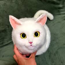 Chewy.com has been visited by 100k+ users in the past month Incredibly Realistic Plush Cat Handbags