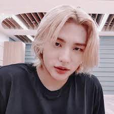 Pin By Hyunjin S Disgusted Face On Life Hyunjin Stray Kids Kids Icon Stray Kids Hyunjin
