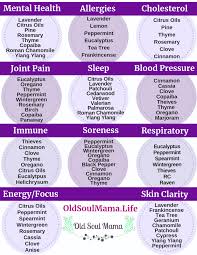 Pin On Essential Oil Stay Young And Healthy