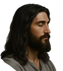 Welcome to our new members. Raphael Linares, Massimiliano Di Bartolo,  Marilena Semprini-Cesari, Raiji Soushi, Jimmy Daher, Randi Tjøntveit, Luigi  Manzo, Fred Beall, Adam Abel, Stanislav Pietschik, Ann Marie Bisnathsingh,  Guilherme Antonis, Diana