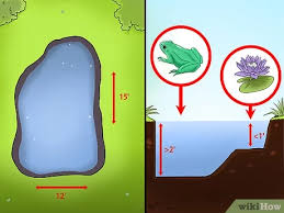 We did not find results for: How To Add Fish To A Garden Pond 13 Steps With Pictures