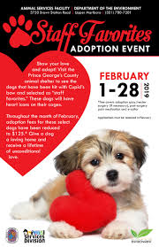 Below are all of the organizations in maryland from which you can adopt a dog. Dog Adoption Events Maryland