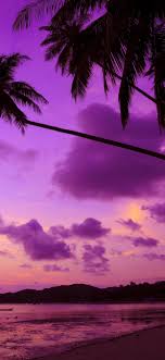 We did not find results for: Purple Palm Trees Hd Wallpapers Wallpaper Cave