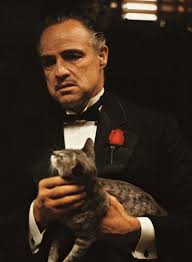Villainous Kitties 2020 Sinema Tarihi Klasik Filmler Sinema