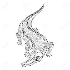Krokodil Kopf Malvorlage Coloring And Malvorlagan
