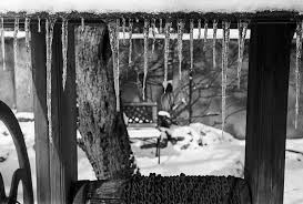 Well Of Icicles My Images Monochrome Photo