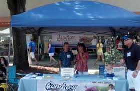 Air pollution and air quality trends (lower is better). Condrey Heating Air 711 Earl Rd Shelby Nc 28152 Yp Com
