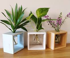Check spelling or type a new query. Diy Wooden Flowers Planter Box With Glass Jar Hydroponics Vase Holder 20 Steps With Pictures Instructables