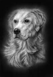 These two videos are great examples of how to draw more realistic dog drawings. My Dog Realistic Pencil Drawing Drawing By Prabath Zoysa Saatchi Art